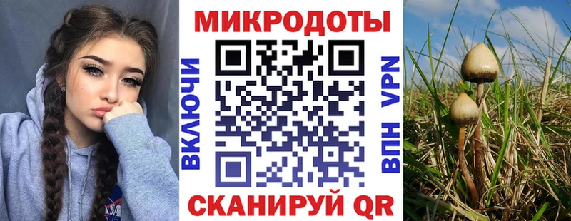 Галлюциногенные грибы GOLDEN TEACHER Лесосибирск