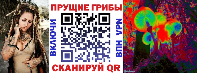 дарк нет наркотические препараты  Лесосибирск  Галлюциногенные грибы MAGIC MUSHROOMS 
